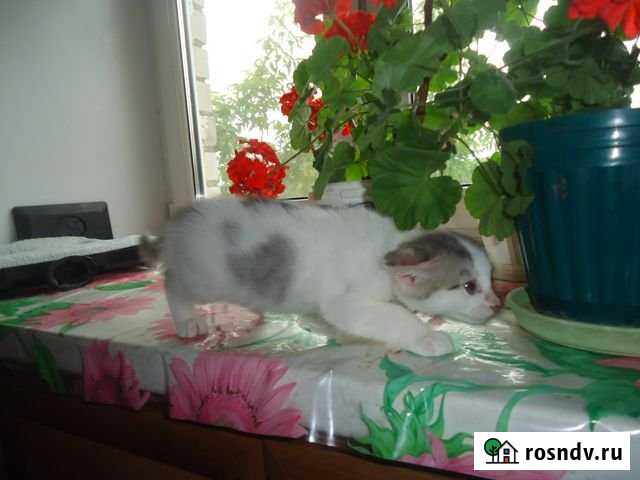 4-комнатная квартира, 60 м², 5/5 эт. в аренду на длительный срок в Бору Бор - изображение 1