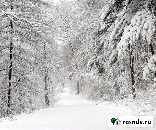 Участок ИЖС 12 сот. на продажу в Шерегеше Шерегеш - изображение 1