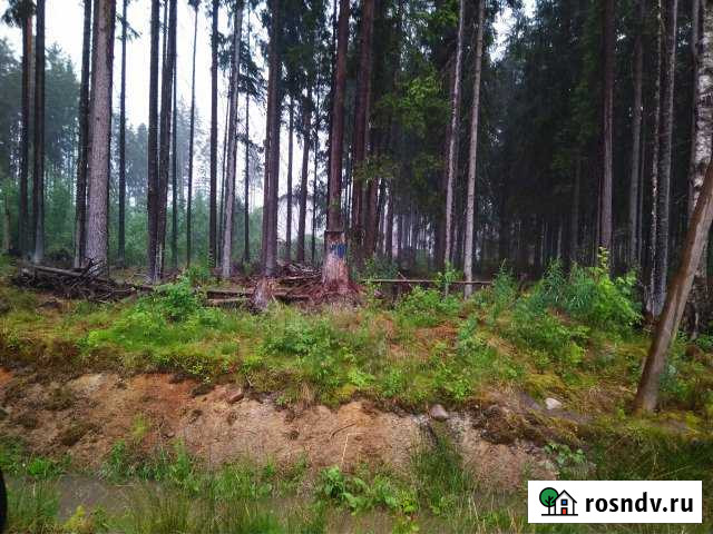 Участок ИЖС 12 сот. на продажу в Рощино Ленинградской области Рощино - изображение 1