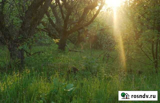 Участок ИЖС 45 сот. на продажу в Гремячьем Гремячье - изображение 1