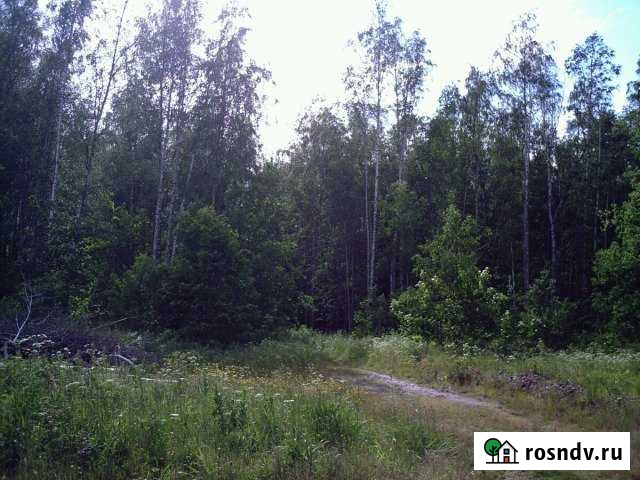 Участок ИЖС 15 сот. на продажу в Красном Селе Красное Село - изображение 1