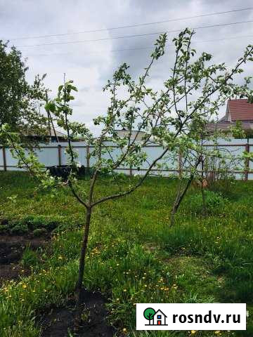 Участок ИЖС 40 сот. на продажу в Новых Зорях Новые Зори - изображение 1