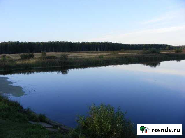 Участок СНТ, ДНП 4100 сот. на продажу в Воскресенске Воскресенск - изображение 1