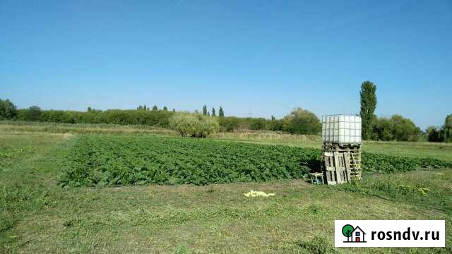 Участок ИЖС 16 сот. на продажу в Платнировской Платнировская - изображение 1