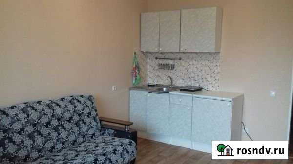 Квартира-студия, 30 м², 7/16 эт. в аренду на длительный срок в Новосибирске Новосибирск - изображение 1