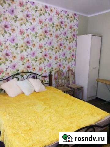 1-комнатная квартира, 40 м², 1/1 эт. в аренду посуточно в Кисловодске Кисловодск - изображение 1