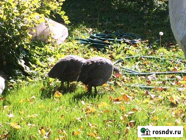 Участок ИЖС 12 сот. на продажу в Можайске Можайск - изображение 1