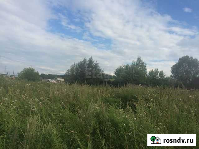 Участок ИЖС 50 сот. на продажу в Горном Новосибирской области Горный - изображение 1