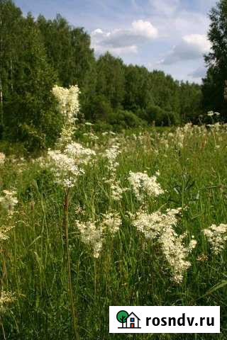 Участок СНТ, ДНП 4100 сот. на продажу в Реммаше Реммаш - изображение 1