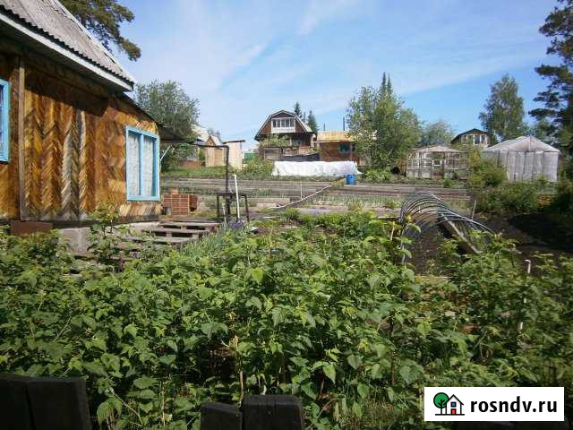 Дача 50 м² на участке 6 сот. на продажу в Памяти 13 Борцове Памяти 13 Борцов - изображение 1