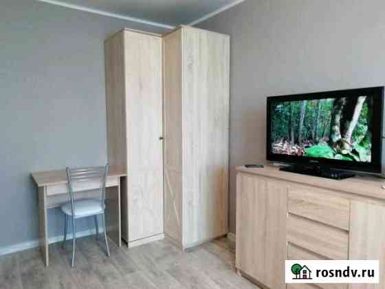 1-комнатная квартира, 30 м², 2/5 эт. в аренду посуточно в Петропавловске-Камчатском Петропавловск-Камчатский