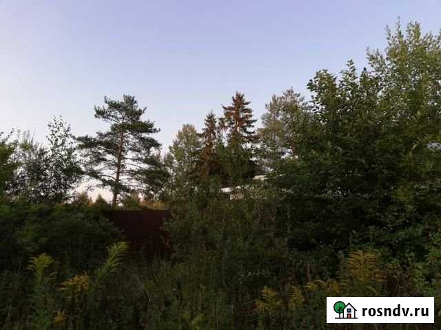 Участок ИЖС 12 сот. на продажу в Красном Бору Красный Бор - изображение 1