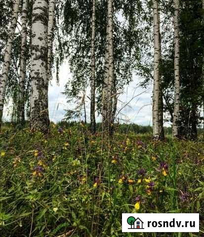 Участок ИЖС 16 сот. на продажу в Бору Бор - изображение 1