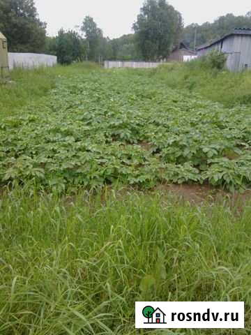 Участок СНТ, ДНП 3 сот. на продажу в Молочном Мурманской области Молочный - изображение 1