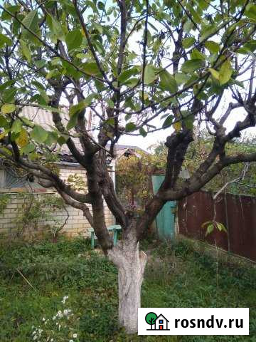 Дача 20 м² на участке 4.3 сот. на продажу в Краснодаре Краснодар - изображение 1