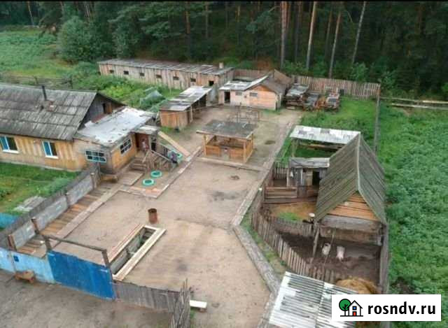 Дом 98 м² на участке 28 сот. на продажу в Асино Асино - изображение 1