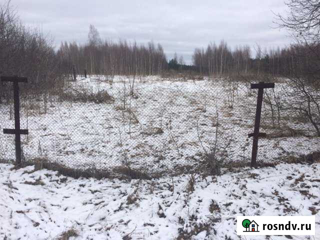 Участок СНТ, ДНП 29 сот. на продажу в Чкаловске Чкаловск - изображение 1