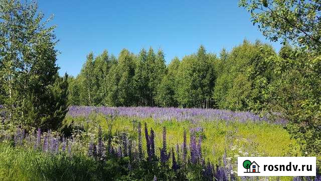 Участок СНТ, ДНП 500 сот. на продажу в Семенове Семенов - изображение 1