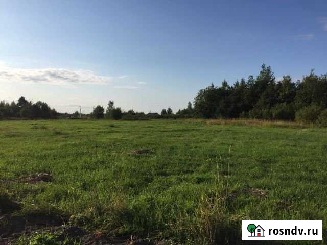 Участок СНТ, ДНП 5 сот. на продажу в Лесколово Лесколово - изображение 1