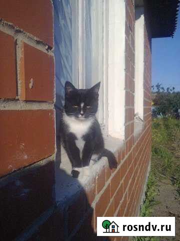 Дача 55 м² на участке 6 сот. на продажу в Кондрово Кондрово - изображение 1