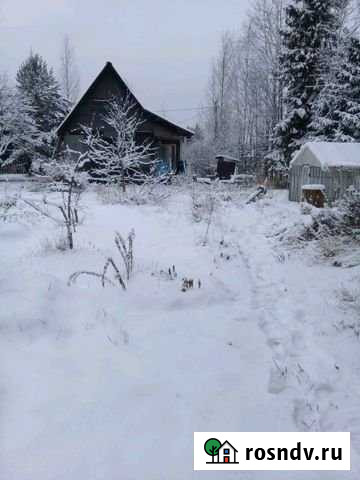 Дача 39 м² на участке 6 сот. на продажу в Дружной Горке Дружная Горка - изображение 1