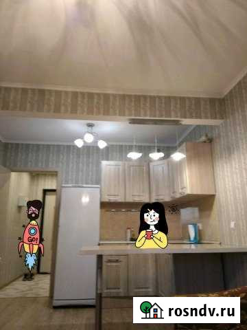 1-комнатная квартира, 33 м², 21/25 эт. в аренду посуточно в Пушкине Пушкин - изображение 1