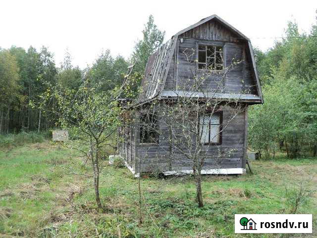 Участок СНТ, ДНП 10 сот. на продажу в Панковке Панковка - изображение 1