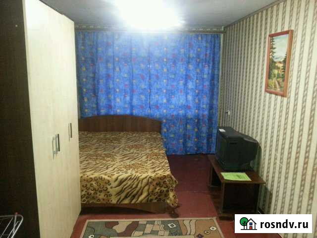 1-комнатная квартира, 30 м², 2/5 эт. в аренду посуточно в Арзамасе Арзамас - изображение 1