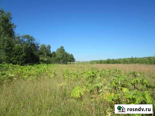 Участок СНТ, ДНП 125 сот. на продажу в Переславле-Залесском Переславль-Залесский - изображение 1