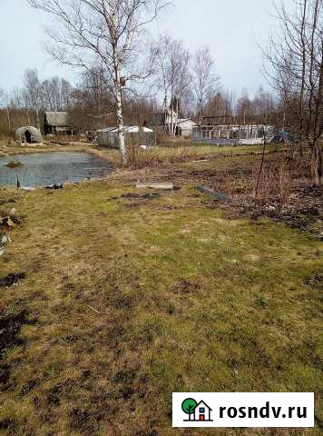 Участок СНТ, ДНП 12 сот. на продажу в Пскове Псков - изображение 1