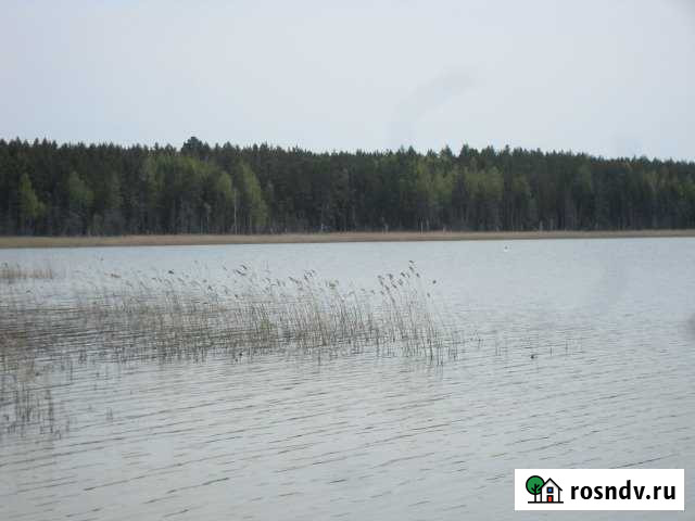 Дом 44 м² на участке 38 сот. на продажу в Куртамыше Куртамыш - изображение 1