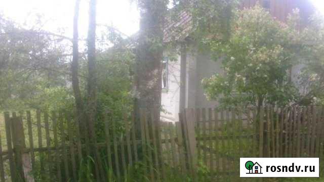 Дом 50 м² на участке 20 сот. на продажу в Красном Красный - изображение 1