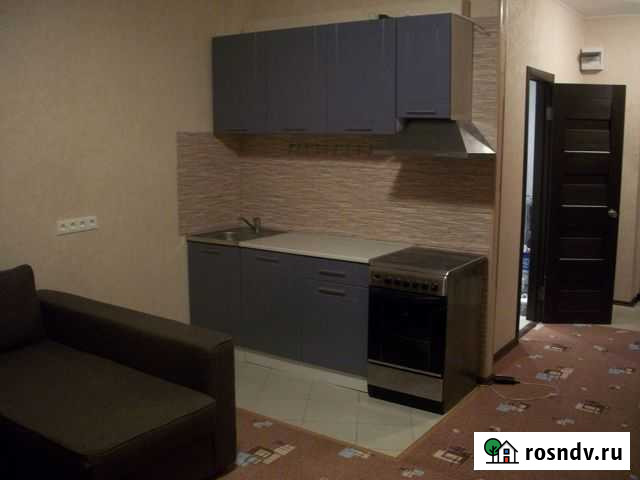 Квартира-студия, 27 м², 2/3 эт. в аренду на длительный срок в Лесном Городке Лесной Городок - изображение 1