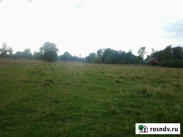 Участок ИЖС 28 сот. на продажу в Ивангороде Ивангород - изображение 1