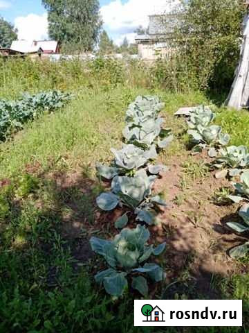 Дача 30 м² на участке 7 сот. на продажу в Иркутске Иркутск - изображение 1