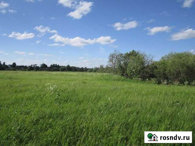 Участок ИЖС 100 сот. на продажу в Кадуе Кадуй - изображение 1