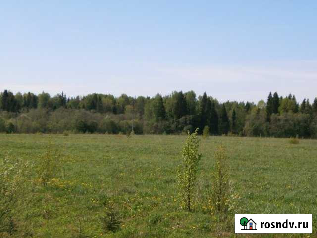 Участок ИЖС 1450 сот. на продажу в Рыбинске Рыбинск - изображение 1