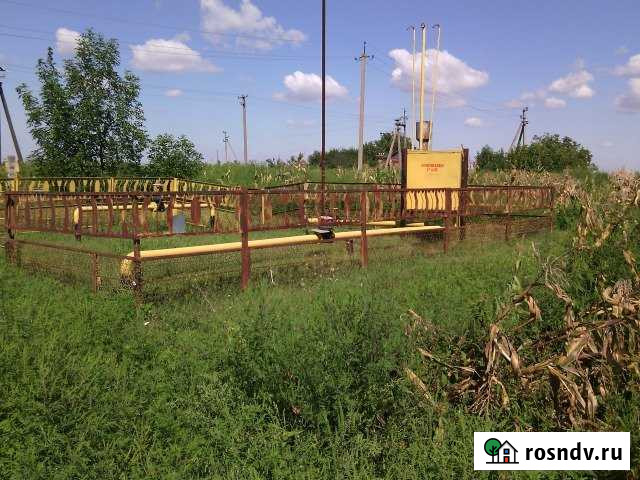 Участок СНТ, ДНП 30 сот. на продажу в Воронежской Воронежская - изображение 1