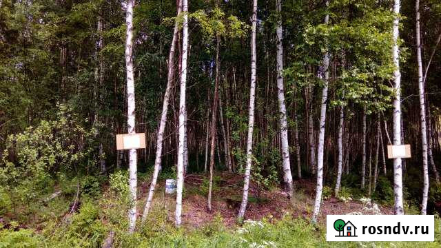 Участок СНТ, ДНП 12 сот. на продажу в Коммунарах Коммунары - изображение 1