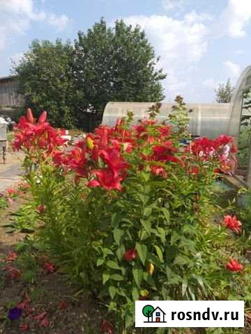 Дом 60 м² на участке 13 сот. на продажу в Чусовом Чусовой - изображение 1