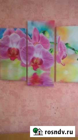 Комната 20 м² в 2-ком. кв., 5/5 эт. в аренду на длительный срок в Казани Казань - изображение 1