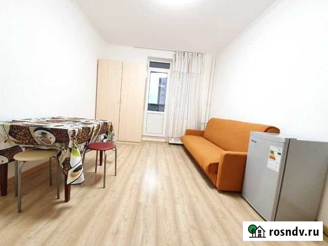 Квартира-студия, 22.8 м², 5/19 эт. в аренду на длительный срок в Мурино Мурино - изображение 1