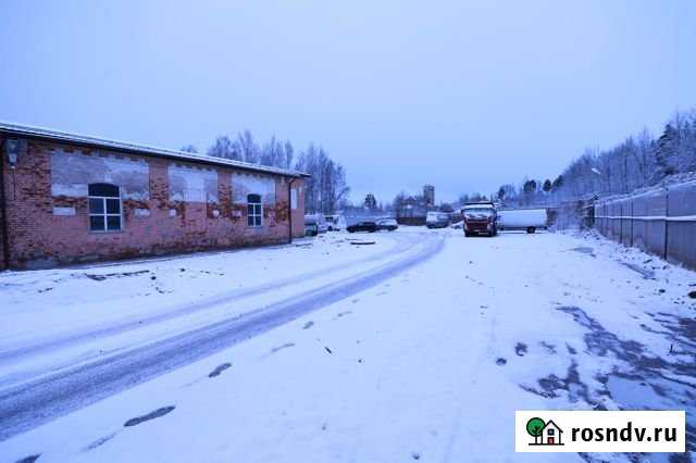 Участок промназначения 257 сот. в аренду в Выборге Выборг - изображение 1