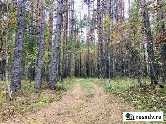 Участок ИЖС 25 сот. на продажу в Приозерске Приозерск