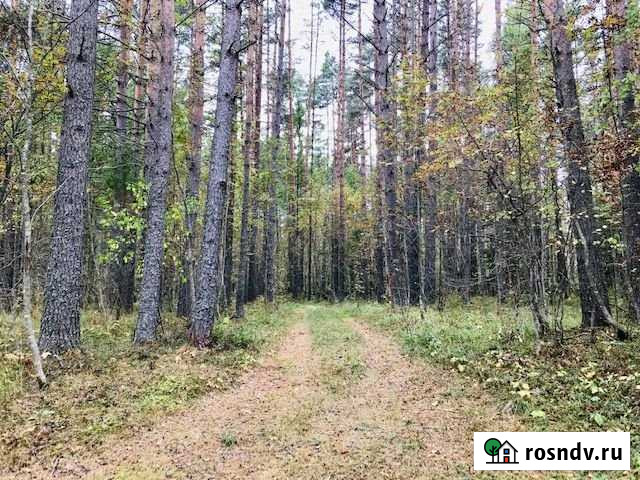 Участок ИЖС 25 сот. на продажу в Приозерске Приозерск - изображение 1