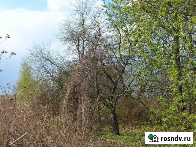 Участок ИЖС 20 сот. на продажу в Клине Клин - изображение 1