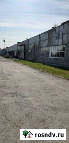 Складское помещение, 277 кв.м. Тюмень - изображение 1