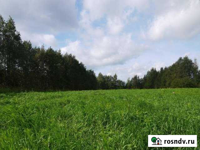 Участок СНТ, ДНП 370 сот. на продажу в Красносельском Ленинградской области Красносельское - изображение 1