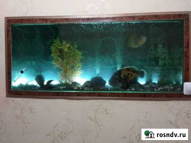 2-комнатная квартира, 45 м², 3/3 эт. на продажу в Бийске Бийск - изображение 1