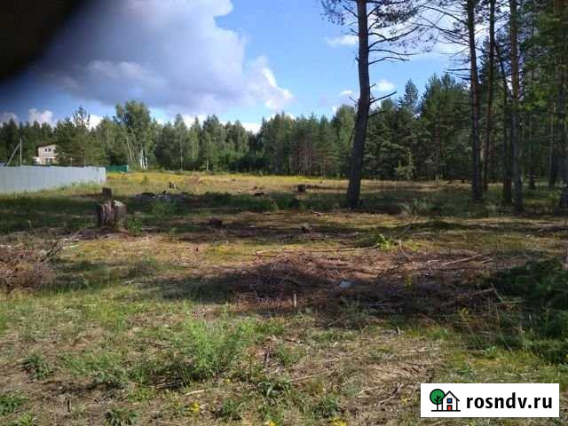 Участок ИЖС 10 сот. на продажу в Мулино Мулино - изображение 1